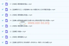 高中语文 2023高二陈晨A+暑秋班 更新19讲