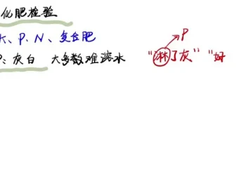 2024清越姐姐高三化学选修一系统课+酸碱盐专题 高考冲刺提分必备