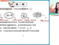 2024高一生物必修一系统课：杨雪秋季班精讲+笔记