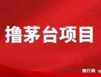 全网撸茅台渠道终极攻略手册 保姆级教学完整版