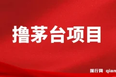 全网撸茅台渠道终极攻略手册 保姆级教学完整版