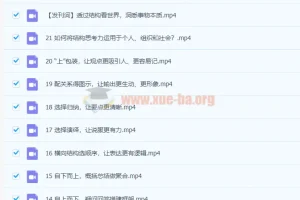 像麦肯锡顾问一样思考 21讲完结 结构思考力实战课程
