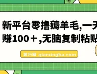 新平台零撸薅羊毛教程，复制粘贴操作日赚100+
