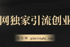 全网独家引流创业粉实战课程，单人单日引流500+不封号