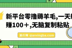 新平台零撸薅羊毛教程，复制粘贴操作日赚100+