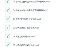 林薇：10堂课让孩子拥有惊人专注力[MP3]