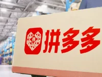 拼多多实操陪跑特训营弟子班2025年2月 泓一老师全站推广与强付费起盘实战