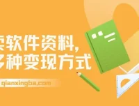 卖软件资料变现指南，新手当天见收益，多种变现方式附赠资源