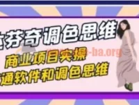 达芬奇调色思维与商业项目实操课（37节）打通软件与调色思路