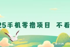 2025手机零撸项目 不看广告 随时可做 单日收益可达三位数