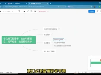 小众女友哄睡项目实操指南：从引流到变现的完整玩法