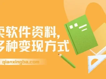 卖软件资料变现指南，新手当天见收益，多种变现方式附赠资源