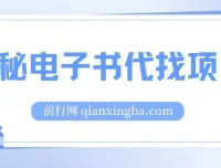 电子书代找项目实操教程 零基础入门月入过万揭秘