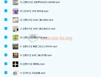 芝麻动漫语文小学二年级下册33讲 趣味动画学语文