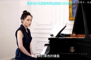沈诗哲精讲车尔尼599钢琴教程100课全集