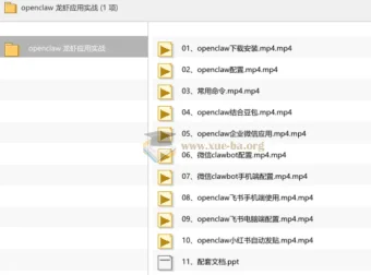 openclaw龙虾应用实战 从安装配置到多平台自动化操作全流程