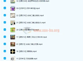 芝麻动漫语文小学二年级下册33讲 趣味动画学语文