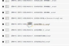 高考语文总复习系统班视频课程 幻幻课堂120混分保命班