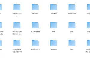 网路人气小说有声书大合集畅听[mp3]