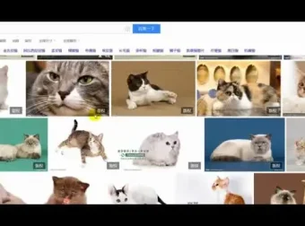 抖音运营实战教程：从零到百万粉丝的账号定位与视频制作全攻略