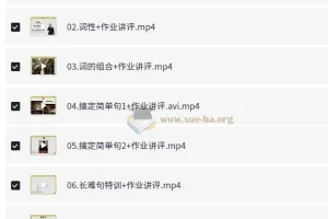考虫零基础语法班 王琢Leo 语法思维与长难句特训课