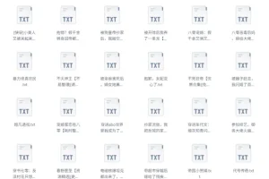 书旗会员小说完结榜：500本精校TXT小说合集推荐