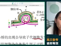 2024高三毛慧生物冲刺班 必修选修考点精讲与全设备观看指南