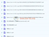 一气呵成——中考阅读完全解析 视频课程+配套讲义