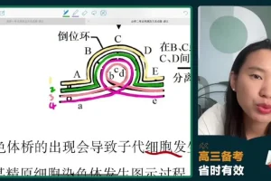 2024高三毛慧生物冲刺班 必修选修考点精讲与全设备观看指南