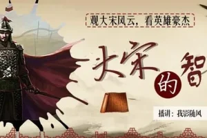 有声小说《大宋的智慧》我影随风播讲 746集完结