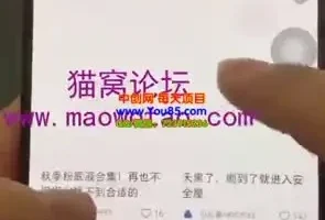小红书矩阵达人实战课：高效搬运剪辑与快速涨粉变现