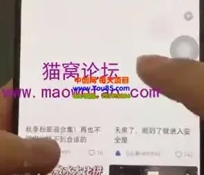 小红书矩阵达人实战课：高效搬运剪辑与快速涨粉变现