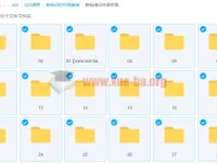 新标准日本语中级 孙晓杰 视频课程