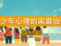龙迪 家庭治疗在青少年心理咨询中的应用 课程资源
