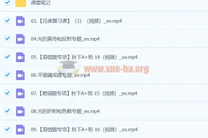 2024初二物理 何勇物理 A+秋季班（下）课程资源