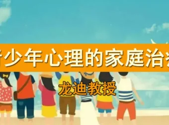 龙迪 家庭治疗在青少年心理咨询中的应用 课程资源