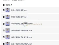 微信小程序开发从入门到实战视频教程