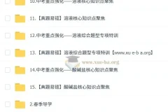 2025陈潭飞初三化学中考培训班 春上·全国版·A+ 课程资源