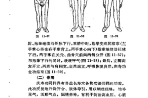 《中国古代养生长寿术：道家秘传回春功》PDF电子书