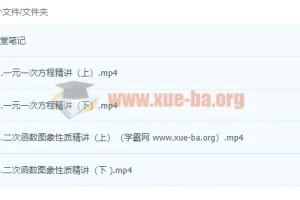中考人教数学十一特训营（张明哲）2021秋 精讲课程
