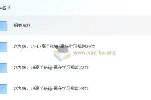 赵九妹学习规划课：L1-L9高手秘籍全阶段指南