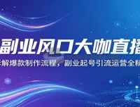 AI副业直播课 拆解爆款视频制作与起号引流运营全流程