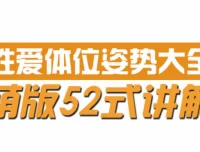 一本书让你快速变身性爱高手（第二版）PDF资源分享