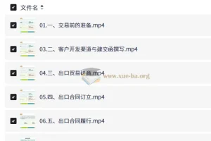 数字化外贸：AI时代出口业务流程实务课