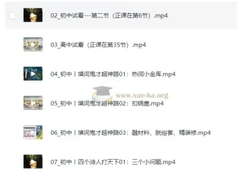 杨自豪爆破作文课程 初中高中语文作文48节完结