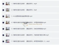 吕丽望诊诊断课程：5维综合望诊实战与39种病诊断全解析