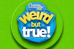 国家地理《Weird But True!》1-3季 儿童趣味科普节目 英语英字 配音频