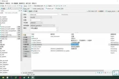Go语言微服务实战：乐尚代驾项目全流程开发课程
