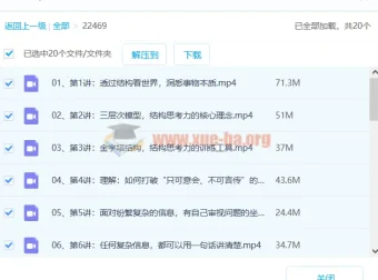 结构思考力：透过结构看思考的思维训练课