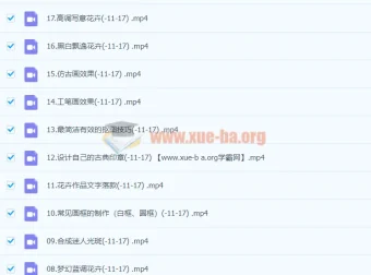 不负芳华：葛宏军花卉摄影后期技法完全宝典